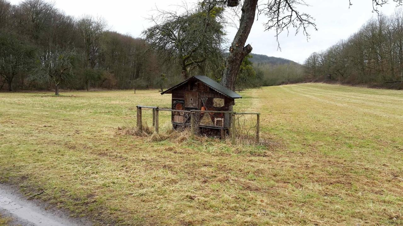 Haus Mit Seele Im Nahetal Weinsheim  Экстерьер фото
