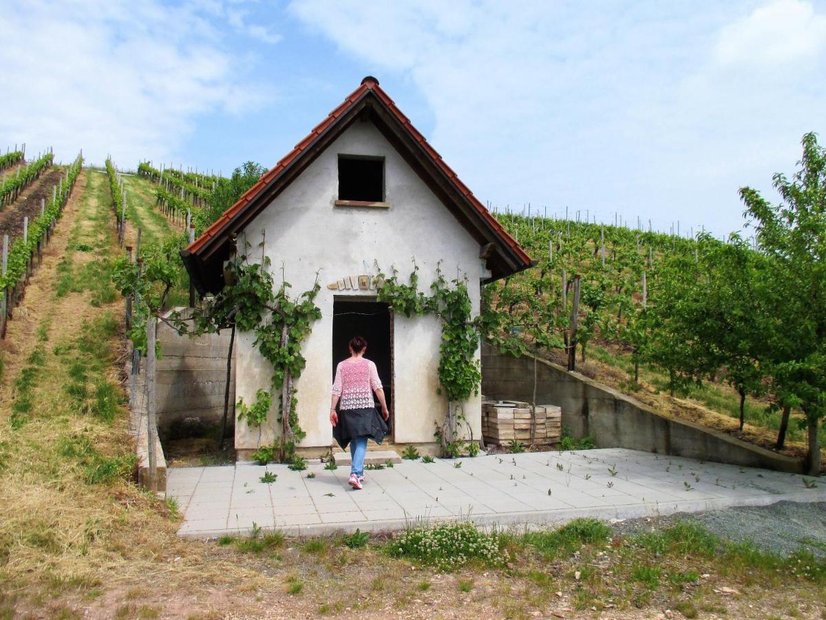 Haus Mit Seele Im Nahetal Weinsheim  Экстерьер фото