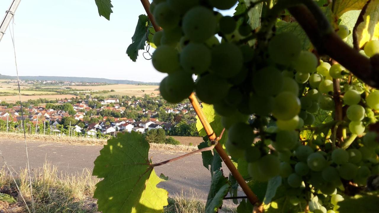 Haus Mit Seele Im Nahetal Weinsheim  Экстерьер фото